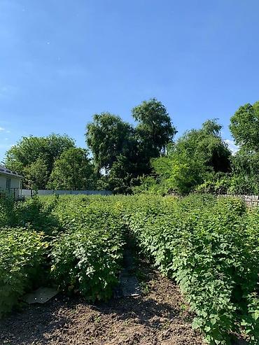 Продажа коттеджей и домов: Продаю большой дом из 7ми комнат в городе Каинда. Сан узел в доме — 18