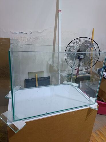 Akvariumlar: Dördbucaq akvarium, Boş, 70 l, Ünvandan götürmə, Ödənişli çatdırılma