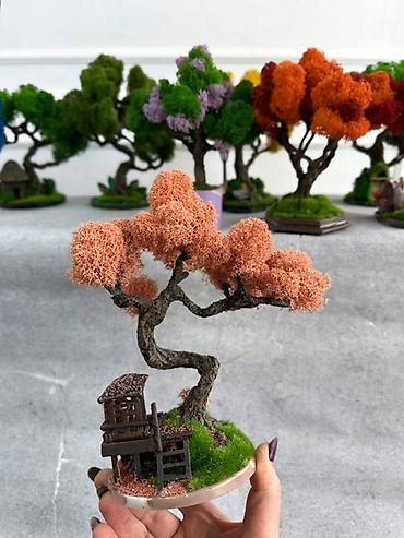 Другой декор и предметы интерьера: Декоративное настольное деревце Бонсай из стабилизированного мха- — 8