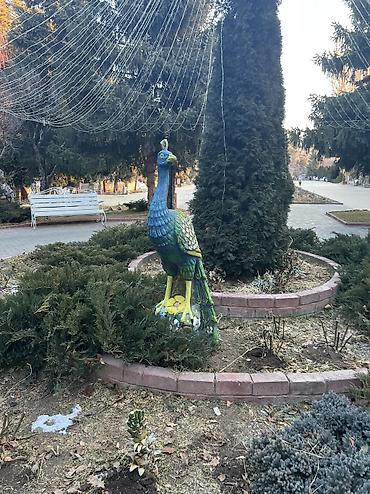 Аренда отелей и хостелов: Гостиница Raduga West на Иссык-Куле Современный отель с эффектной — 8