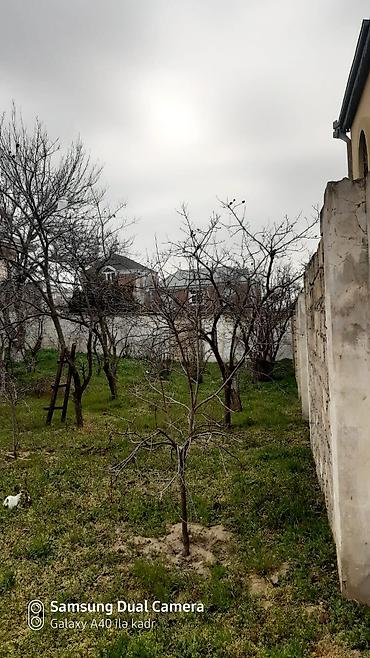 bine evler: Tikinti — 2