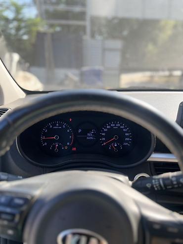 baic eu5: Kia Picanto: 2019 г., 1 л, Автомат, Бензин, Хэтчбэк — 9