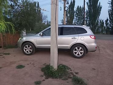 морда рекс: Hyundai Santa Fe: 2008 г., 2 л, Автомат, Дизель, Кроссовер — 3