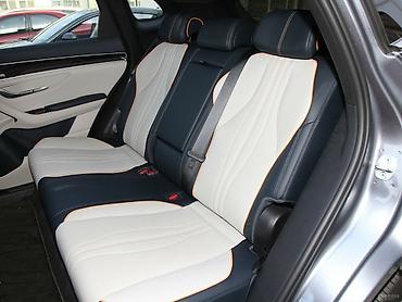 BYD: BYD : 2022 г., Автомат, Электромобиль, Кроссовер — 19