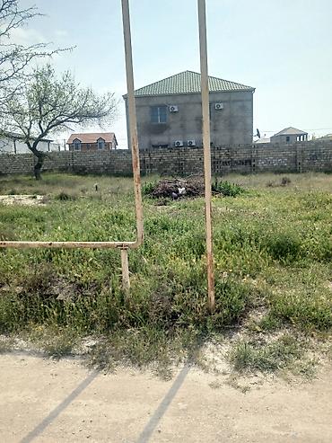 bagi: 6 sot, Tikinti, Mülkiyyətçi, Kupça (Çıxarış) — 4