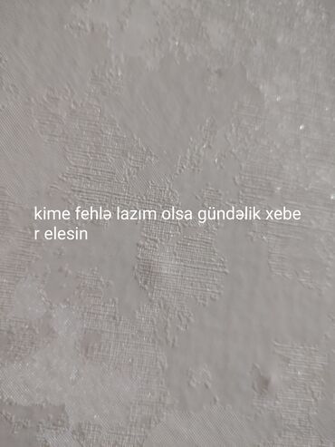məktəbdə xadimə işi: Xidmət: Gündəlik fəhlə işi Təsvir: - Günlük əsasda işləyə bilən fəhlə