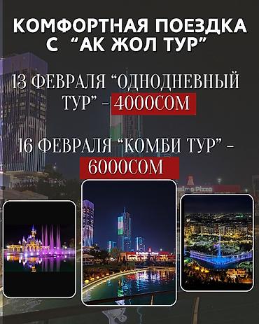 светомузыку: Комфортная поездка с «Ак Жол Тур». - 13 февраля — «Однодневный тур» — — 1
