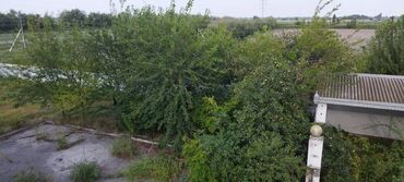 Torpaq sahələrinin satışı: 30 sot, Kənd təsərrüfatı, Mülkiyyətçi, Kupça (Çıxarış) — 11