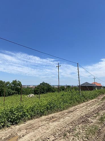 mehdiabad torpag: 7 sot, Tikinti, Mülkiyyətçi, Kupça (Çıxarış) — 4