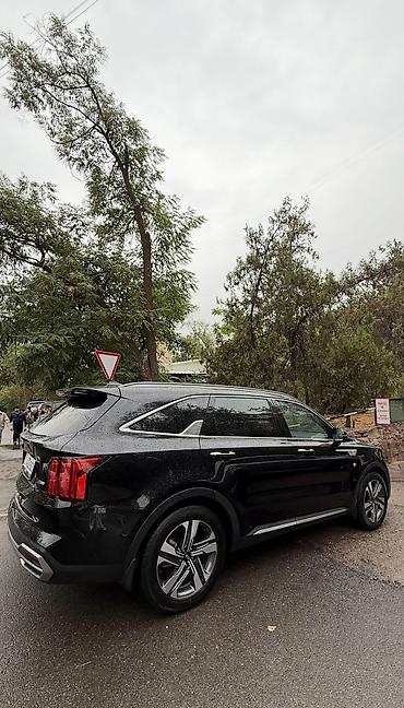 шторки для авто: Kia Sorento: 2020 г., 1.6 л, Автомат, Кроссовер — 3