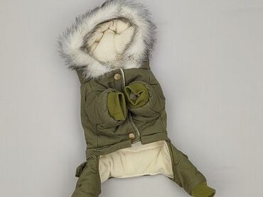 Oto kombinezon dla zwierząt w kolorze khaki, idealny na chłodniejsze
