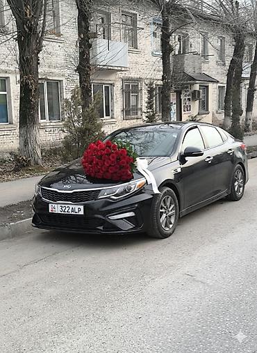 авто подборщик: Kia Optima: 2019 г., 2.4 л, Автомат, Бензин, Седан — 1