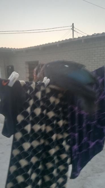 Digər heyvanlar: Hinduşkalar 90 60 50 manat ördəklər 20 15 manat — 3