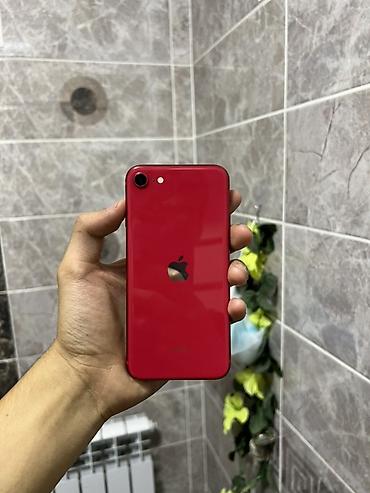 iphone 11 pr: IPhone SE 2020, Б/у, 64 ГБ, Красный, Зарядное устройство, Коробка, 77 % — 1