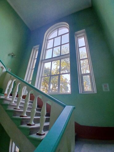 химия для ковров: 🌱 Уезжаете в отпуск? Поливу цветы, покормлю питомца, выгулю собаку