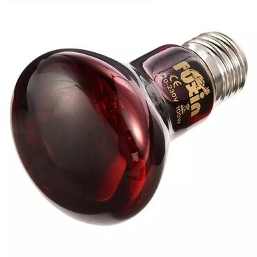 İnkubatorlar: İnkubator və ferma avadanlaqlari̇ inqubator yem qabi və su qabi -da lalafo.az — 3 İnkubatorlar: İnkubator və ferma avadanlaqlari̇ inqubator yem qabi və su qabi — 3