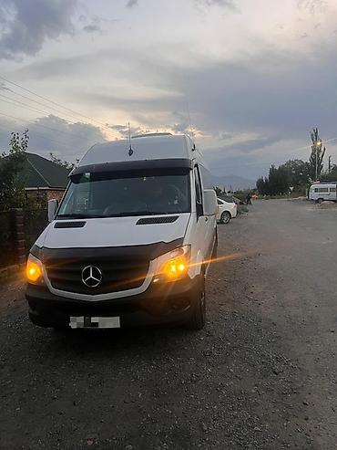 бортовой сопог: Mercedes-Benz Спринтер: 2010 г., 2.9 л, Механика, Дизель, Бус — 3