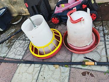 ev iti pudel: Tovuqçuluq üçün plastik yemləyici və suvarıcı dəst - 2 ədəd — 1