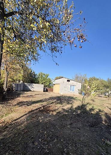 фрунзе карпинка: 3 комнаты, 37 м², 5 соток, Электричество — 3