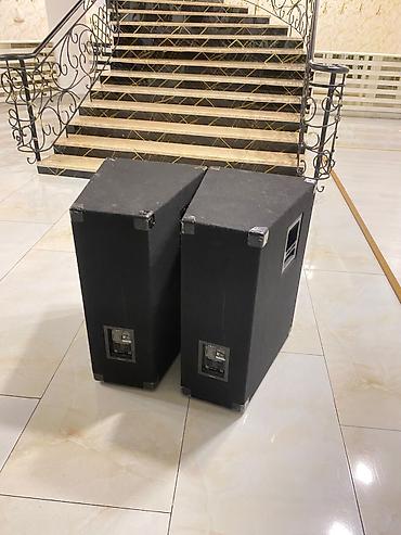 basavik dinamik: Electro‑Voice T251+ səhnə akustikası – - İstehsal: ABŞ (Made in — 1