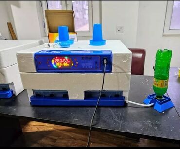 Digər quşlar: Expert şirkətinin rəsmi istehsalı olan, android-rejimli aparatların — 8