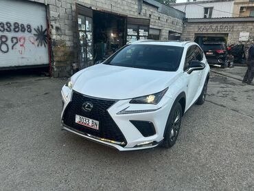 Lexus: Lexus NX: 2019 г., 2 л, Automatic, Бензин, Crossover