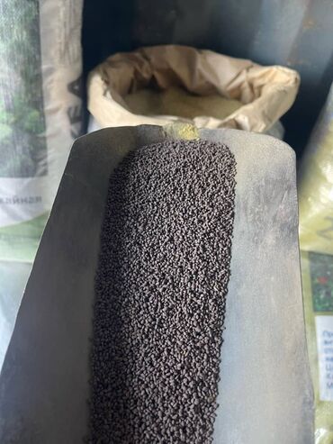 Кормовые растения: Семена кормовых растений: Люцерна, Самовывоз, Бесплатная доставка, Платная доставка — 7