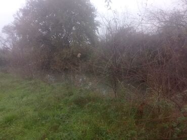 Torpaq sahələrinin satışı: 400 sot, Kənd təsərrüfatı, Maklerlər narahat etməsin — 6