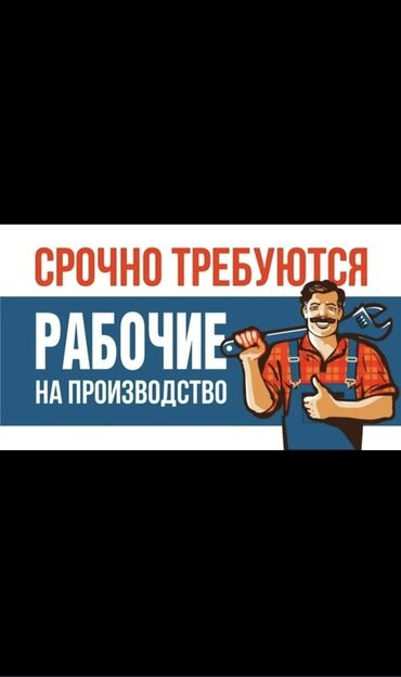 Разнорабочие: Требуется Разнорабочий на производство, Оплата Ежемесячно, Без опыта
