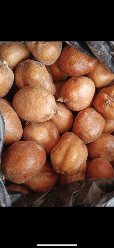 мандарины бишкек: Орех мохилхин из Египта и Мекки от бесплодия Отзывы Тикток каф Марьям