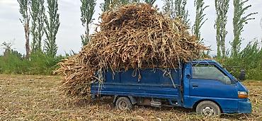 ош к: Заказать Хендай портер — 1