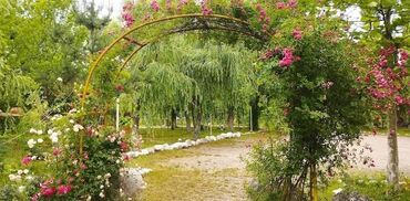 Kommersiya daşınmaz əmlakının satışı: Qusar şəhərində(200 sot) Şahdağa gedən yolun Qusar çayının sol — 17