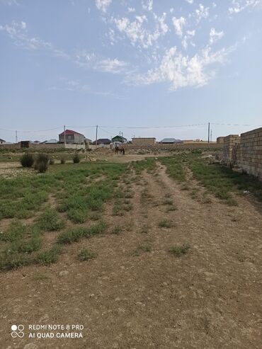 Torpaq sahələrinin satışı: 4 sot, Mülkiyyətçi, Kupça (Çıxarış)