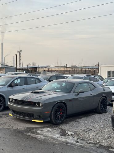 dodge challenger бишкек: Dodge Challenger: 2023 г., 6.4 л, Автомат, Бензин, Купе