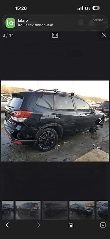 Subaru: Subaru Forester: 2018 г., 2.5 л, Вариатор, Бензин, Кроссовер — 14