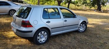 runx alex: Volkswagen Golf: 2000 г., 1.6 л, Автомат, Бензин, Хэтчбэк