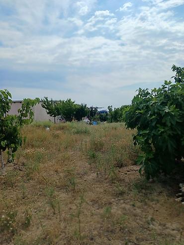 Həyət evləri və villaların satışı: Nardaran qəs. 3 otaqlı, 3 kv. m, Kredit yoxdur, Orta təmir — 22