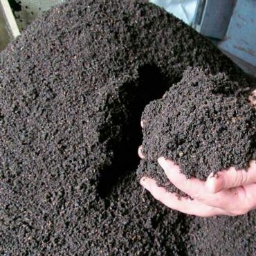 Грунт, чернозем: Биогумус. Соолжан колифорнический черви. Сатылат продается. и — 4