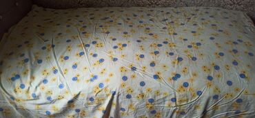 Pledlər: Pled — 7