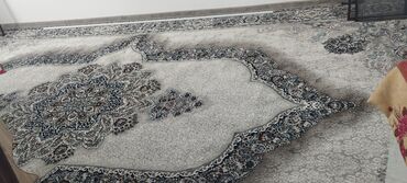 купить большие комнатные растения: Ковер Новый, 600 * 350