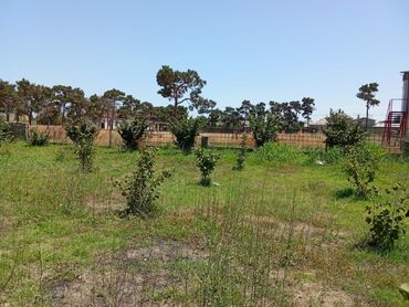 Torpaq sahələrinin satışı: 8 sot, Tikinti, Mülkiyyətçi, Texniki pasport — 8