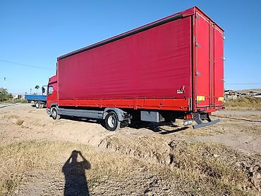 краска для авто: Грузовик, Mercedes-Benz, Стандарт, Б/у — 4