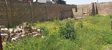 merdekanda torpag: 4400 sot — 5