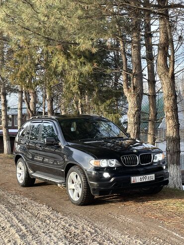 BMW: BMW X5: 2004 г., 4.8 л, Автомат, Бензин, Внедорожник