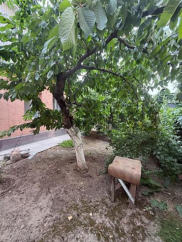 Продажа квартир: 5 и более комнат, 160 м² — 27