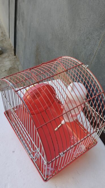 сетка для клетки попугая: Kamyak setkasi