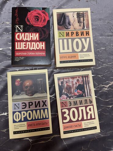 секом китеп: Ирвин Шоу «Бедняк, богач», Эмиль Золя «Дамское счастье», Эрих Фромм