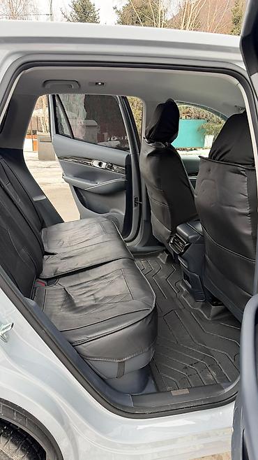 Geely: Geely : 2025 г., Электромобиль, Кроссовер — 10