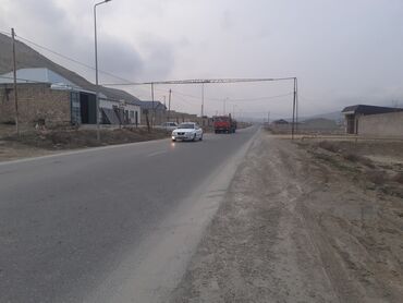 Boşqablar: 4 sot, Biznes üçün, Mülkiyyətçi, Kupça (Çıxarış)