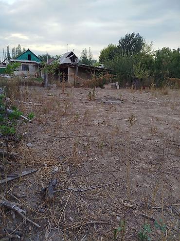 Жер тилкелери: 6 соток, Курулуш, Кызыл китеп — 4